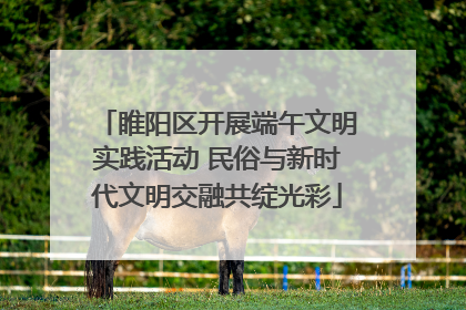 睢阳区开展端午文明实践活动 民俗与新时代文明交融共绽光彩