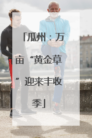 瓜州：万亩“黄金草”迎来丰收季
