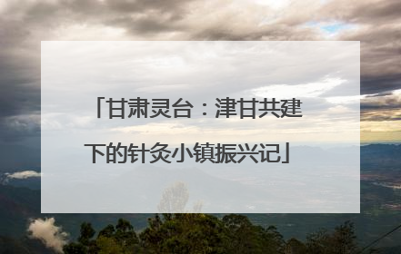 甘肃灵台：津甘共建下的针灸小镇振兴记