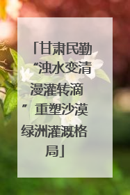 甘肃民勤“浊水变清 漫灌转滴”重塑沙漠绿洲灌溉格局