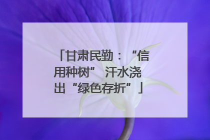 甘肃民勤：“信用种树” 汗水浇出“绿色存折”