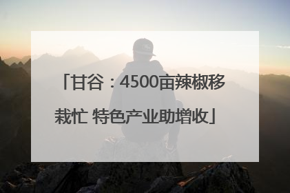 甘谷：4500亩辣椒移栽忙 特色产业助增收