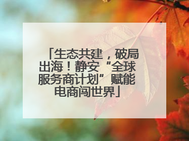 生态共建，破局出海！静安“全球服务商计划”赋能电商闯世界