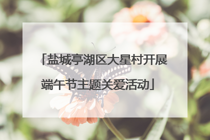 盐城亭湖区大星村开展端午节主题关爱活动
