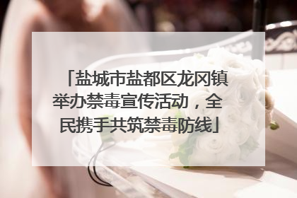 盐城市盐都区龙冈镇举办禁毒宣传活动，全民携手共筑禁毒防线