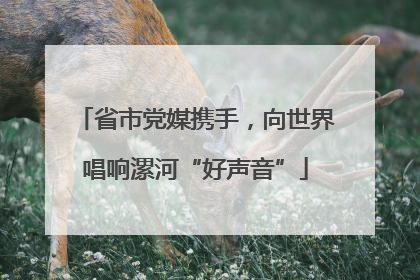 省市党媒携手，向世界唱响漯河“好声音”