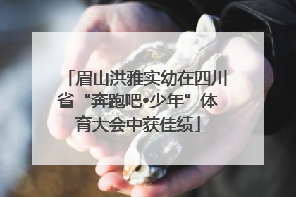 眉山洪雅实幼在四川省“奔跑吧•少年”体育大会中获佳绩