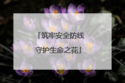 筑牢安全防线 守护生命之花