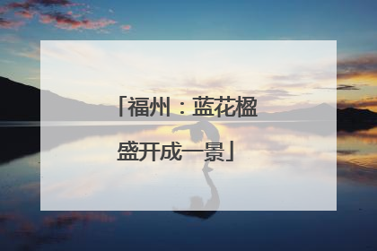 福州：蓝花楹盛开成一景