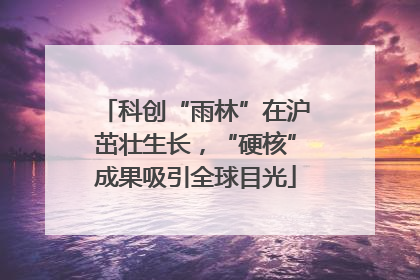 科创“雨林”在沪茁壮生长，“硬核”成果吸引全球目光
