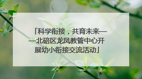 科学衔接，共育未来——北碚区龙凤教管中心开展幼小衔接交流活动