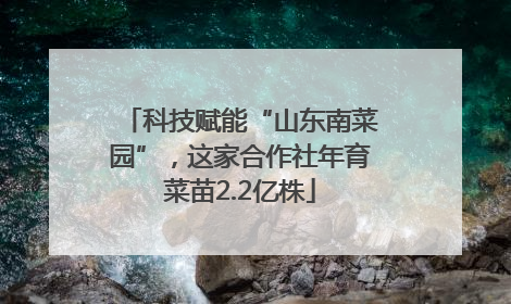 科技赋能“山东南菜园”，这家合作社年育菜苗2.2亿株