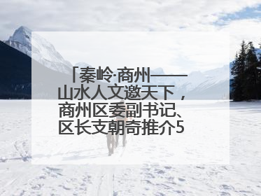 秦岭·商州——山水人文邀天下，商州区委副书记、区长支朝奇推介5个重点招商项目