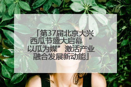第37届北京大兴西瓜节盛大启幕 “以瓜为媒”激活产业融合发展新动能