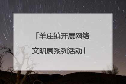 羊庄镇开展网络文明周系列活动