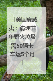 美国夏威夷：清理前年野火垃圾需50辆卡车运5个月