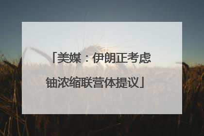 美媒：伊朗正考虑铀浓缩联营体提议