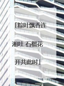 粽叶飘香连湘吐 石榴花开共此时