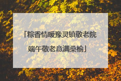 粽香情暖豫灵镇敬老院 端午敬老意满桑榆