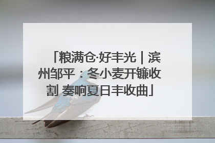 粮满仓·好丰光｜滨州邹平：冬小麦开镰收割 奏响夏日丰收曲