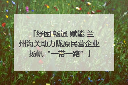 纾困 畅通 赋能 兰州海关助力陇原民营企业扬帆“一带一路”