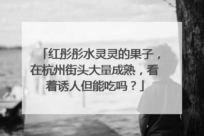 红彤彤水灵灵的果子，在杭州街头大量成熟，看着诱人但能吃吗？