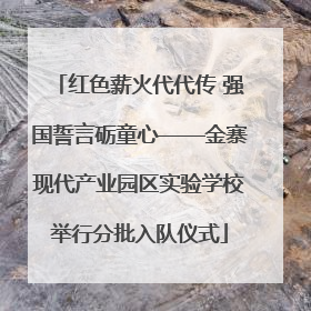 红色薪火代代传 强国誓言砺童心——金寨现代产业园区实验学校举行分批入队仪式