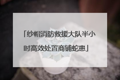 纱帽消防救援大队半小时高效处置商铺蛇患