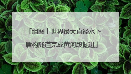 组图丨世界最大直径水下盾构隧道完成黄河段掘进