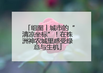 组图丨城市的“清凉坐标”！在株洲神农城里感受绿意与生机