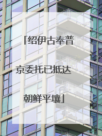 绍伊古奉普京委托已抵达朝鲜平壤