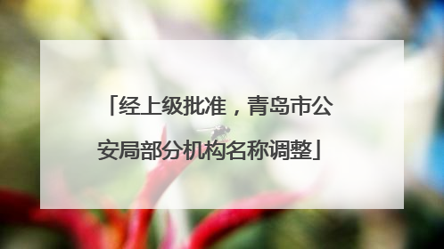 经上级批准，青岛市公安局部分机构名称调整