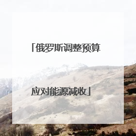 俄罗斯调整预算应对能源减收