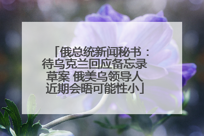 俄总统新闻秘书：待乌克兰回应备忘录草案 俄美乌领导人近期会晤可能性小