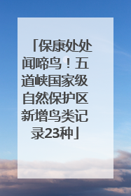 保康处处闻啼鸟！五道峡国家级自然保护区新增鸟类记录23种