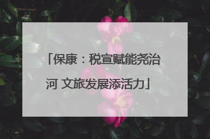 保康：税宣赋能尧治河 文旅发展添活力