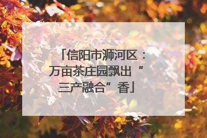 信阳市浉河区：万亩茶庄园飘出“三产融合”香