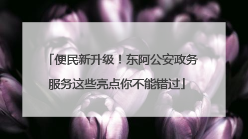 便民新升级！东阿公安政务服务这些亮点你不能错过