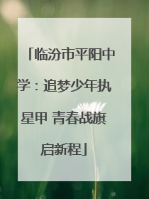 临汾市平阳中学：追梦少年执星甲 青春战旗启新程
