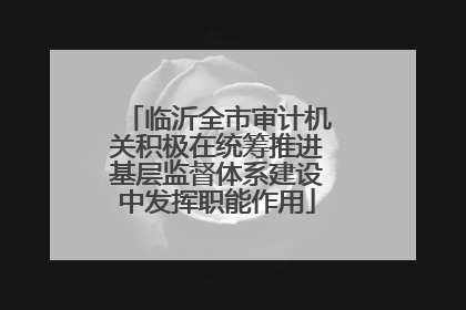 临沂全市审计机关积极在统筹推进基层监督体系建设中发挥职能作用