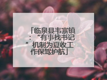 临泉县韦寨镇：“有事找书记”机制为夏收工作保驾护航