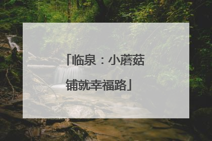 临泉：小蘑菇铺就幸福路