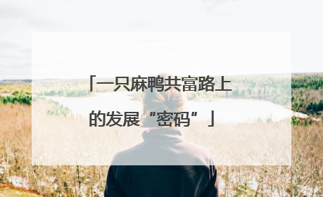 一只麻鸭共富路上的发展“密码”