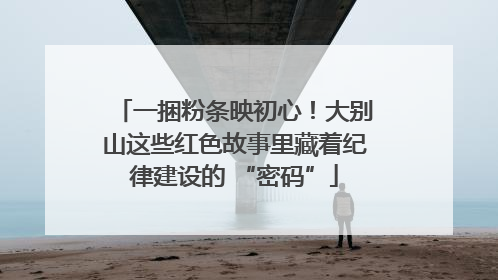 一捆粉条映初心！大别山这些红色故事里藏着纪律建设的 “密码”