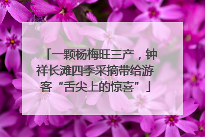 一颗杨梅旺三产，钟祥长滩四季采摘带给游客“舌尖上的惊喜”