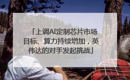 上调AI定制芯片市场目标、算力持续增加，英伟达的对手发起挑战