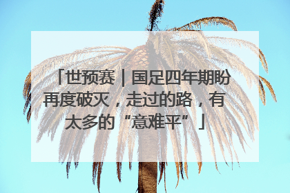 世预赛｜国足四年期盼再度破灭，走过的路，有太多的“意难平”