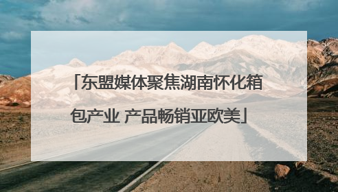 东盟媒体聚焦湖南怀化箱包产业 产品畅销亚欧美