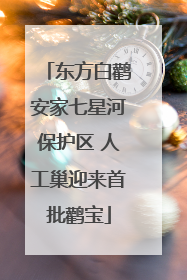 东方白鹳安家七星河保护区 人工巢迎来首批鹳宝