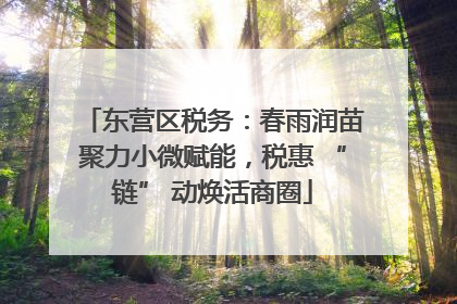 东营区税务：春雨润苗聚力小微赋能，税惠 “链” 动焕活商圈